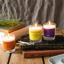 Load image into Gallery viewer, Colombard, Fresh Fig, Citrus Blend Candle