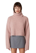 Load image into Gallery viewer, NIA Bruni Turtleneck Sweater
